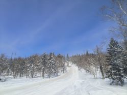 -大秃顶子山