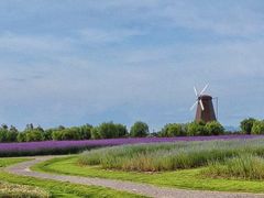 -漩门湾国家湿地公园