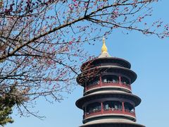 -圆通寺