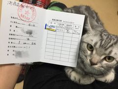 -瑞派·关忠动物医院·猫专科·犬专科(三环新城店)