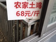 -老幺泉水鸡