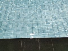 -尚成·蓝色港湾恒温游泳馆