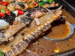 -探炉·香辣豆花烤鱼(雄峰城店)