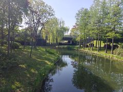 -尚贤河湿地