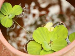 -驿舍·民國老营房院子私房菜(科学会堂店)