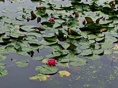 -黛秀湖公园