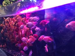 -梦幻海洋王国(吾悦广场张家港店)