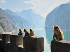 -白帝城·瞿塘峡景区