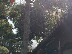-檀园