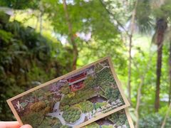 -十八棵（老龙井）御茶园(老龙井店)