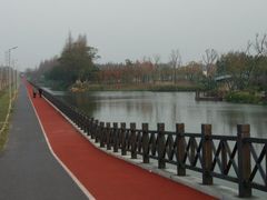 -上海长兴岛郊野公园