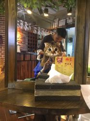 点击看大图 -尚丹尼造型
