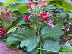 -拾光音乐餐酒吧(告庄星光夜市店)