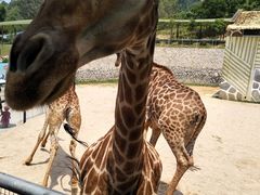 -泉州海丝野生动物世界