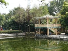 -晓港公园