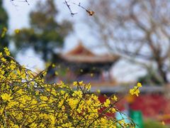 -北海公园