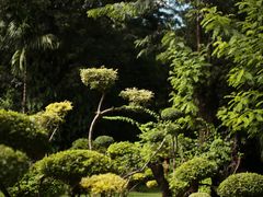 -曼听御花园