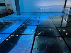 -上海长江河口科技馆