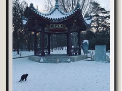 -陶然亭公园