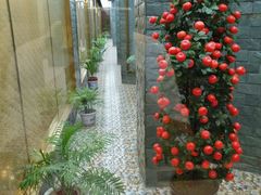 -醉香园(长江北路店)