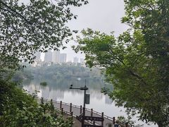 -重庆彩云湖湿地公园