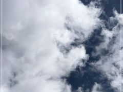 -稻城亚丁景区-冲古草甸