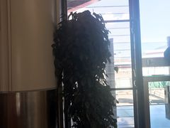 -丽江三义国际机场