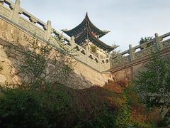 -兰山公园