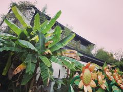-武汉园博园(武汉自然博物馆)
