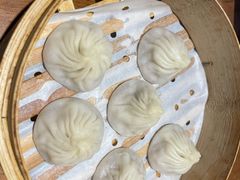鲜肉小笼-苏小柳手工点心(人民广场分院)