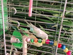 -798餐厅(任丘路店)