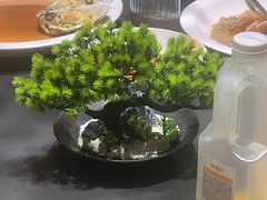 -曼格纳·曼芯馆(杨浦店)