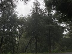 -云南野生动物园