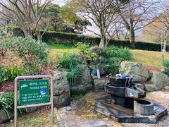 -汉拿树木园