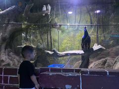 -多彩贵州城极地海洋世界