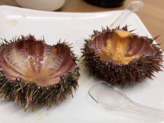 -海胆小馆(东北水饺·春柳店)