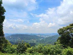-黄埔油麻山森林公园