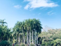 -中国科学院西双版纳热带植物园