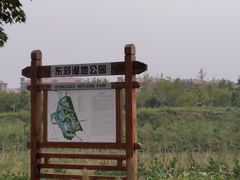 -东郊湿地公园