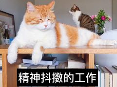 -津乐园(芥园道店)