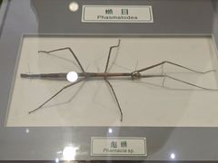 -上海昆虫博物馆