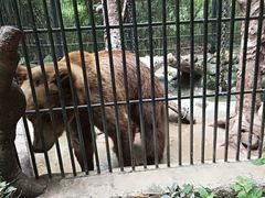 -海南热带野生动植物园