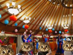 -九十九顶毡房(阜石路店)