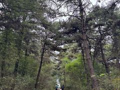 -棋盘山风景区