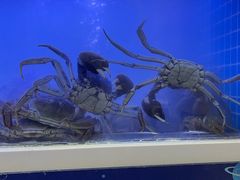 -蟹状元大闸蟹·年货·粽子(成都成华店)