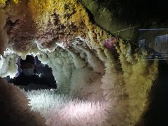 -湖南省地质博物馆