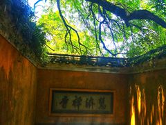 -普陀山风景区-佛顶山