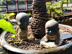 -府学·秋果S酒店(北京南锣鼓巷四合院店)