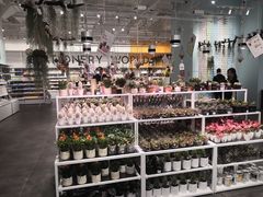 -KKV(深圳宏发大仟里店)