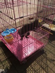 -上美四季动物农场